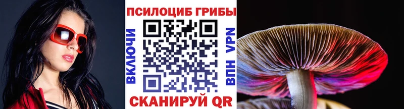 Галлюциногенные грибы Psilocybine cubensis  наркошоп  Камызяк 
